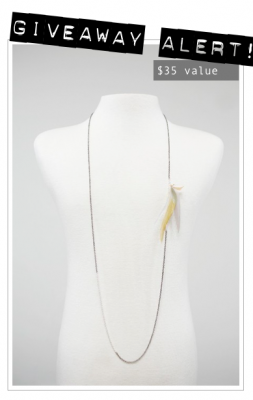 noemiah-giveaway-design-for-mankind