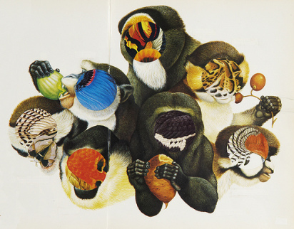 animal-monkey animal-monkey
