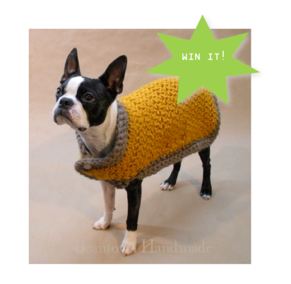 dog-sweater-giveaway