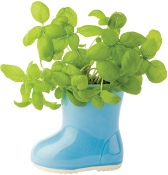 rainboot-garden rainboot-garden