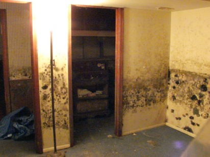 design_for_mankind 2010-04-07 at 11.08.38 PM