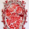 victoria reynold’s meat paintings.