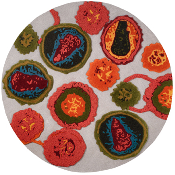 disease-rug-3