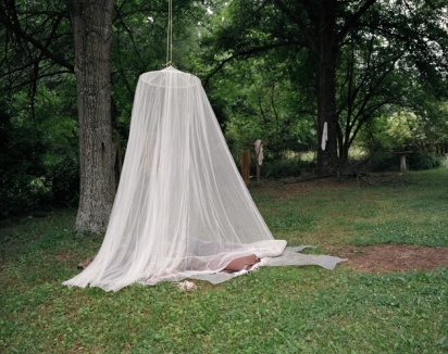 mosquito-net