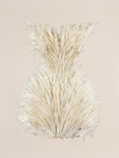 winter-mushroom-ress