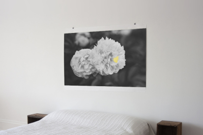 black and white floral poster
