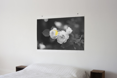 flower poster