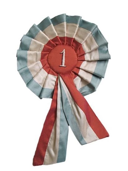 tara badcock rosette ribbon tara badcock rosette ribbon
