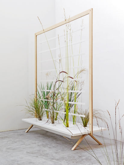 patrick nadeau modern plants patrick nadeau modern plants