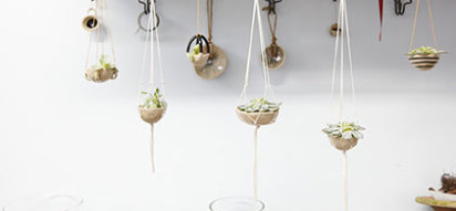 bailey-doesnt-bark-ceramics-4