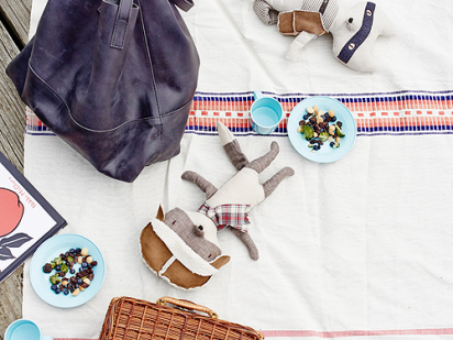 summer-picnic-by-pond-10